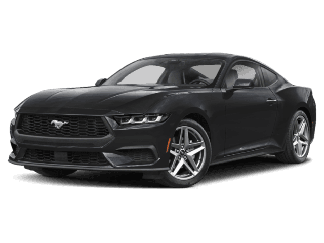 Mustang